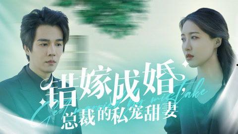 错嫁成婚总裁的私宠甜妻,甜蜜宠妻的甜蜜逆袭之旅